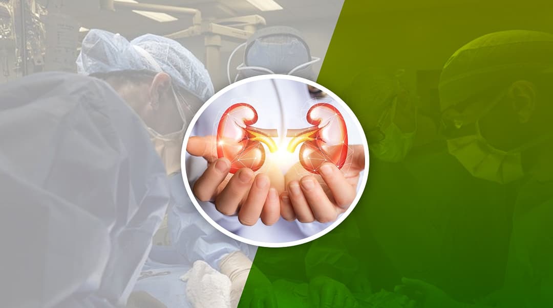 Kidney Transplant