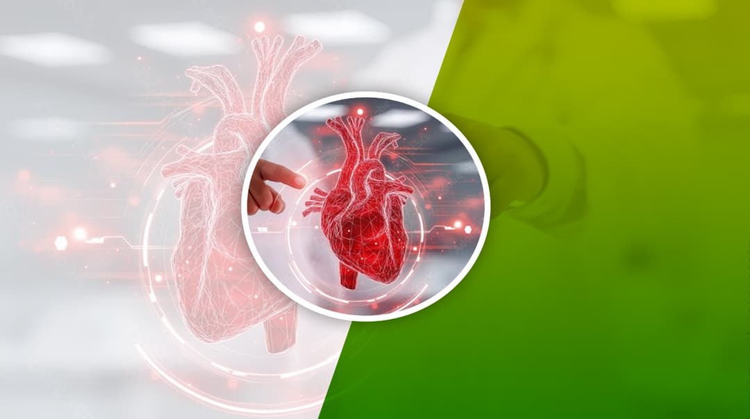 Department of Cardiology